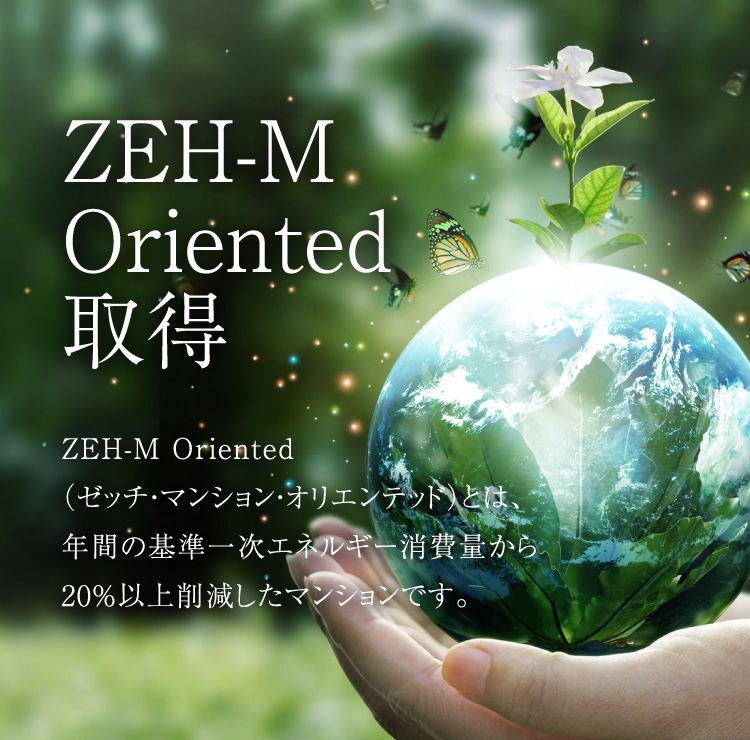 ZEH-M Oriented取得