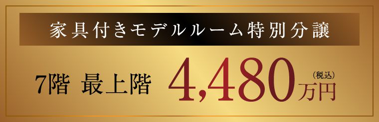 家具付きモデルルーム特別分譲7階最上階4480万円（税込）