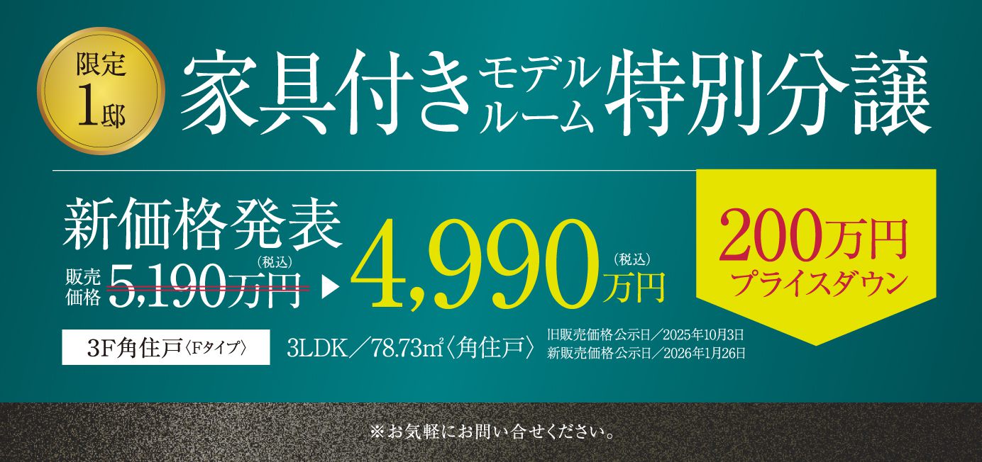限定1邸家具付きモデルルーム特別分譲